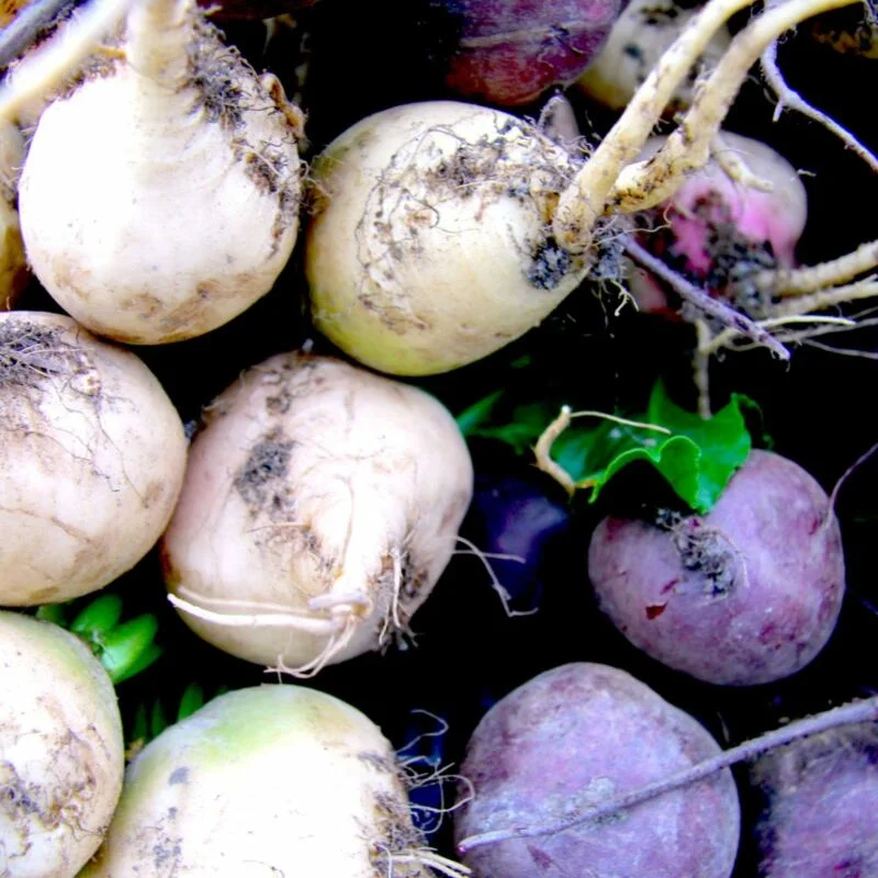 Beetroot at market