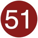 51svg