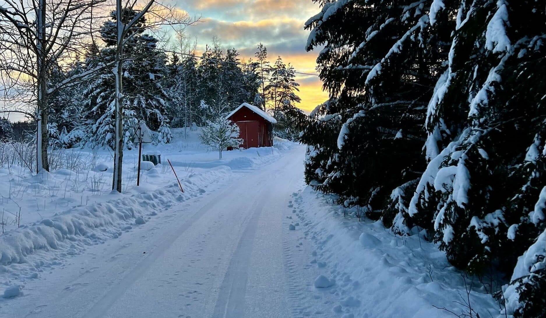 Small bird in Fjärdhundraland in winter