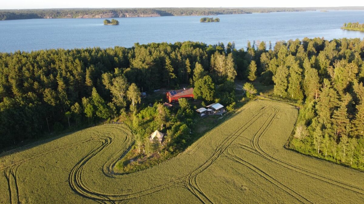 Drone image of Vista Vibes Glamping