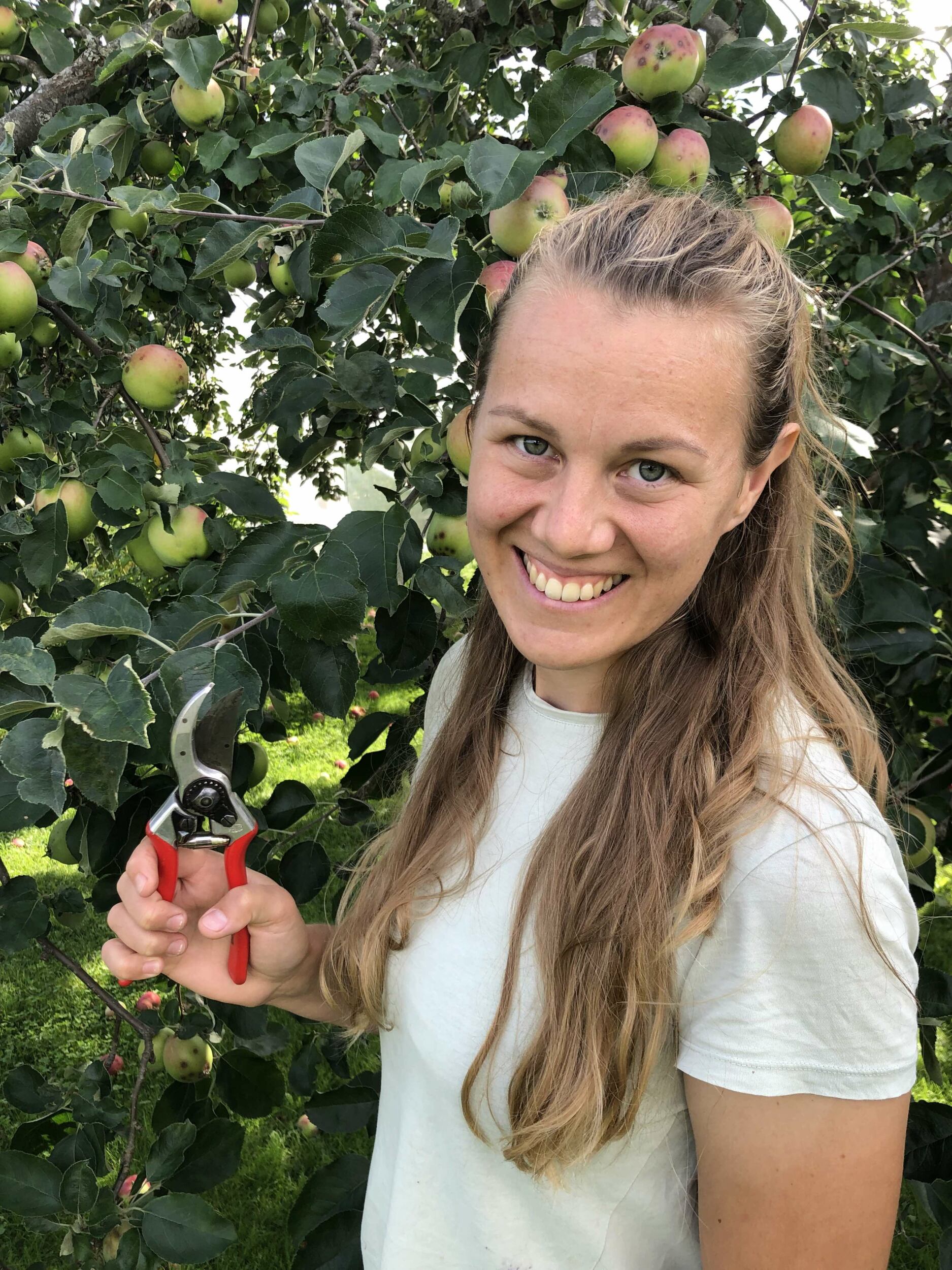 pruning course elina folkesson