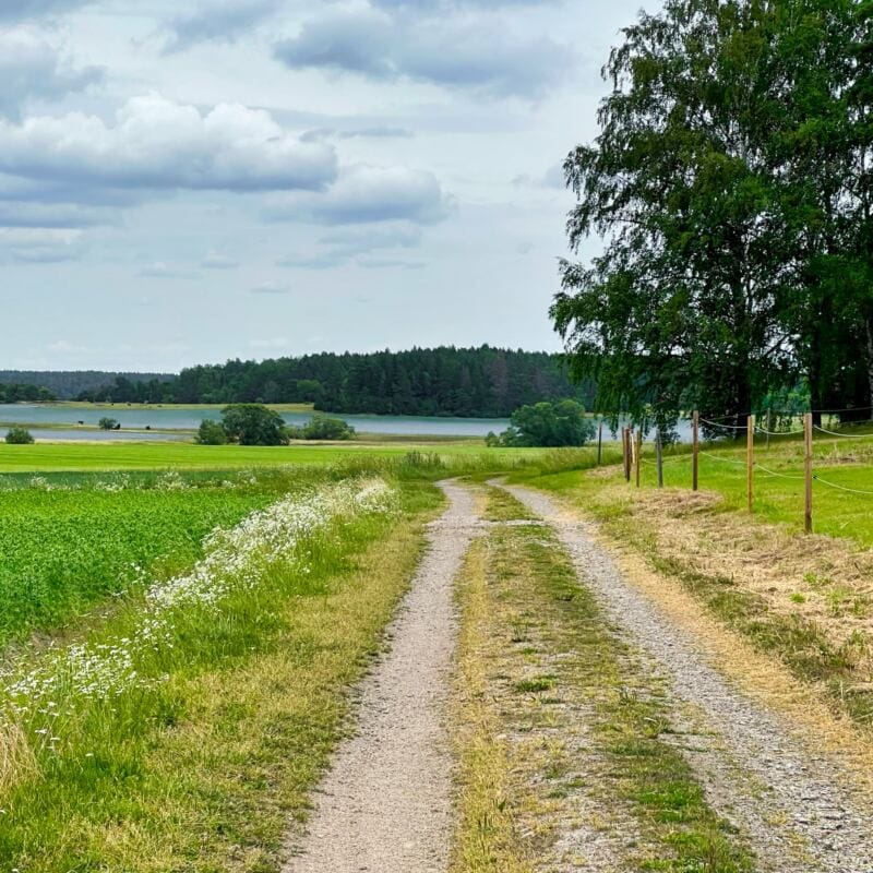 Upplandsleden mot Torstuna kyrka